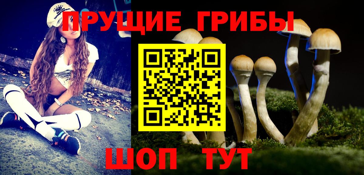 Северодвинск  Псилоцибиновые грибы MAGIC MUSHROOMS  Вход с VPN 